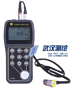 TT310